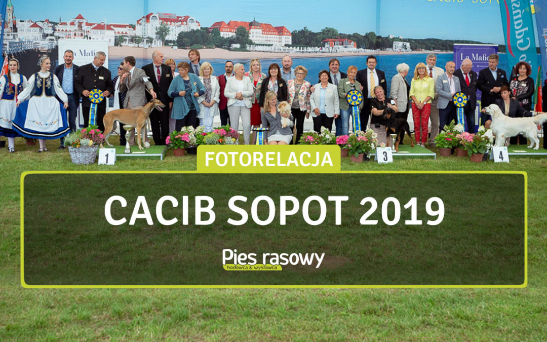 Wystawa Sopot 10-11 Sierpnia 2019 r.