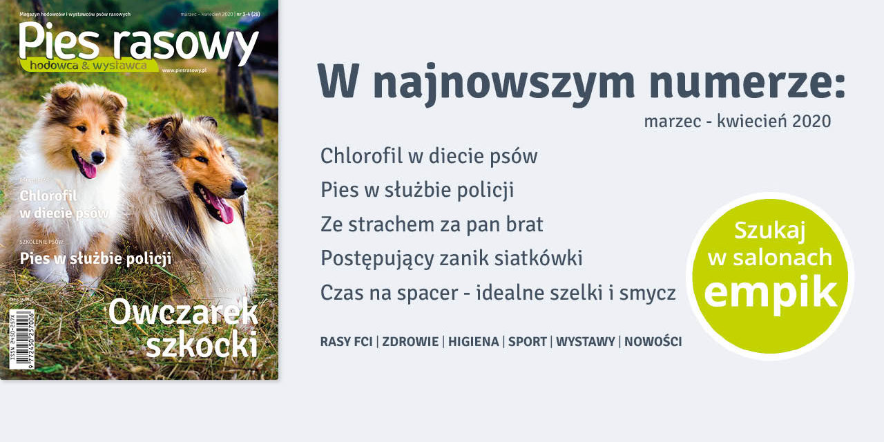 Najnowszy numer 3-4/2020