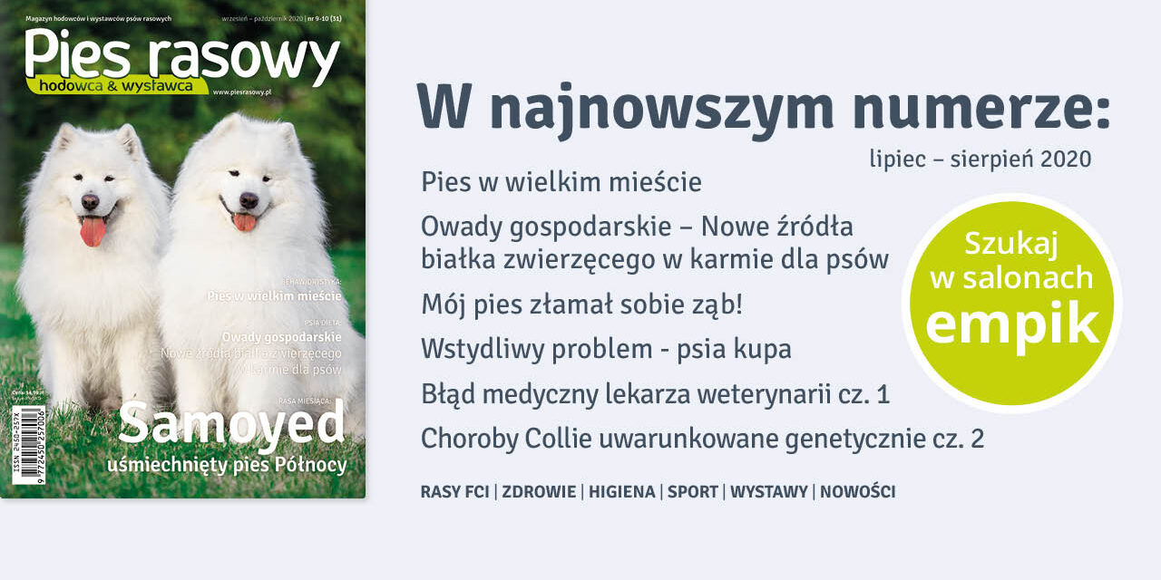 Numer wrzesień–październik 2020
