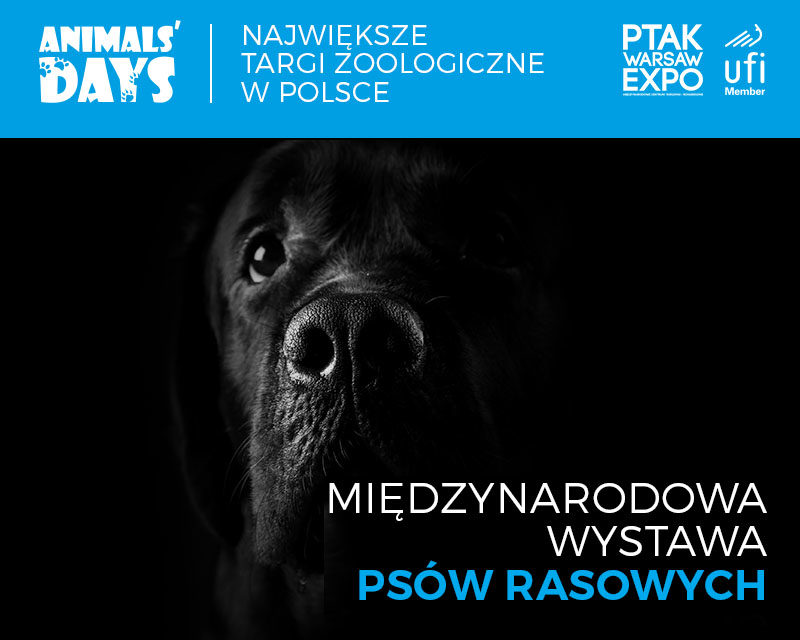 Gratka dla Miłośników Psów Rasowych – podczas targów Animals Days 3-5 kwietnia 2020