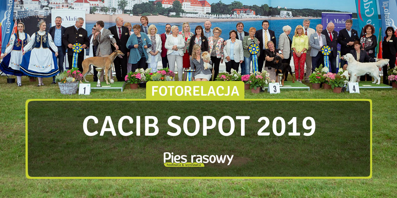 Wystawa Sopot 10-11 Sierpnia 2019 r.