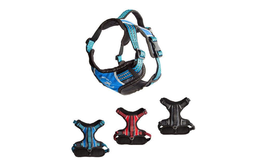 Sportowy pies nosi sportowe szelki ALLFORDOGS.PL!
