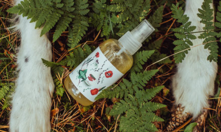 Naturalny olejek marki PositiveCare – na komary i kleszcze!