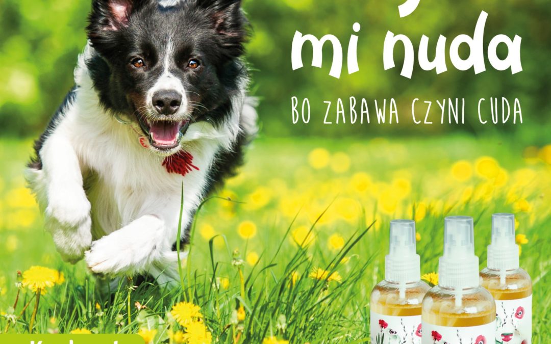REGULAMIN: „ Nie grozi mi nuda, bo zabawa czyni cuda”