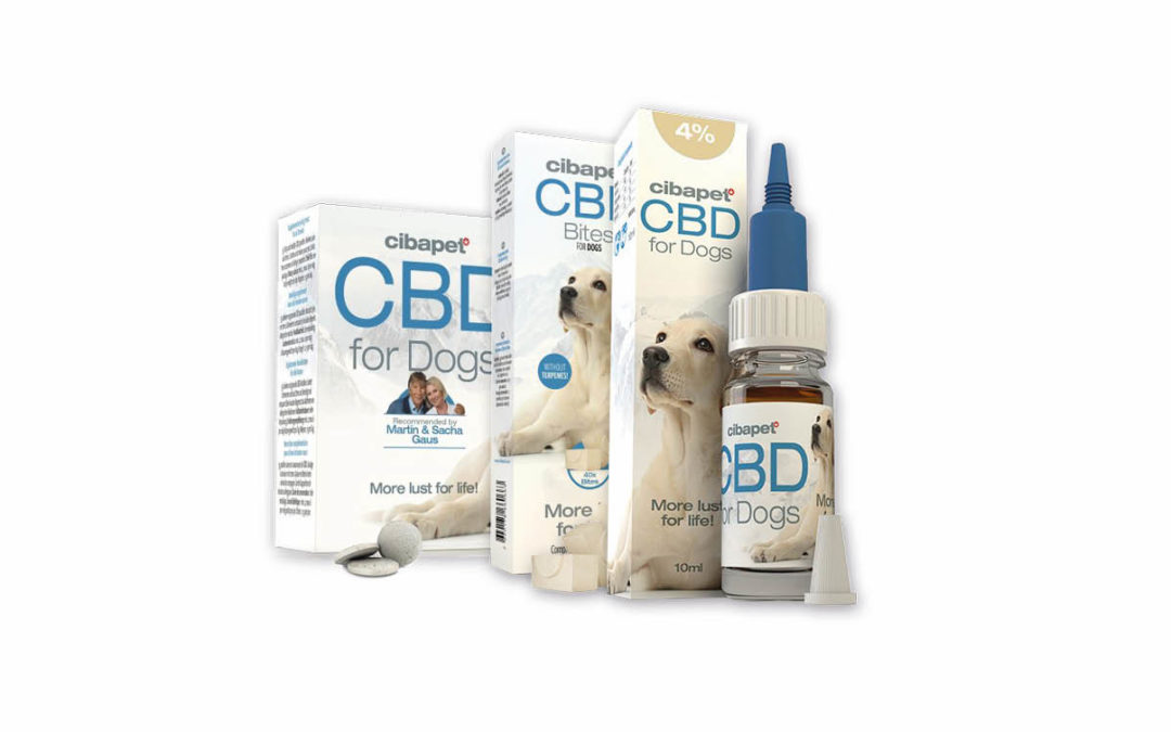 CBD Cibapet – ważna rola w poprawie jakości życia twojego pupila
