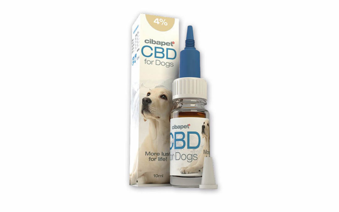 Olejek 4% CBD Cibapet – dedykowana receptura dla psa