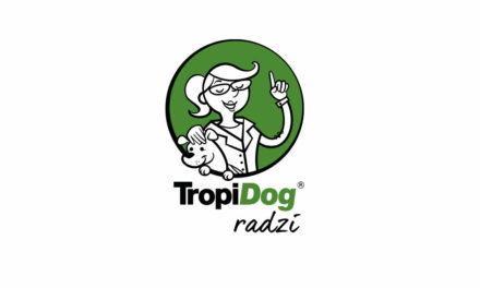 Psi kanał na YouTube. Zajrzyj do TropiDog Radzi!
