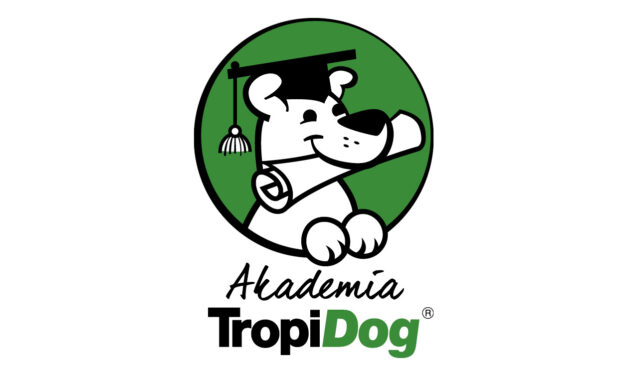 Pierwszy taki projekt w Polsce– Akademia TropiDog!
