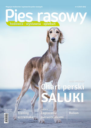 Najnowsze wydanie